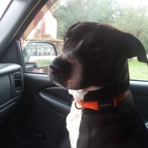 Meet your Posher, Kenneth